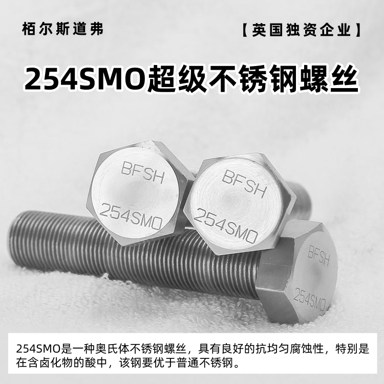 栢爾斯道弗254SMO螺絲